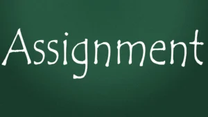 Assignment